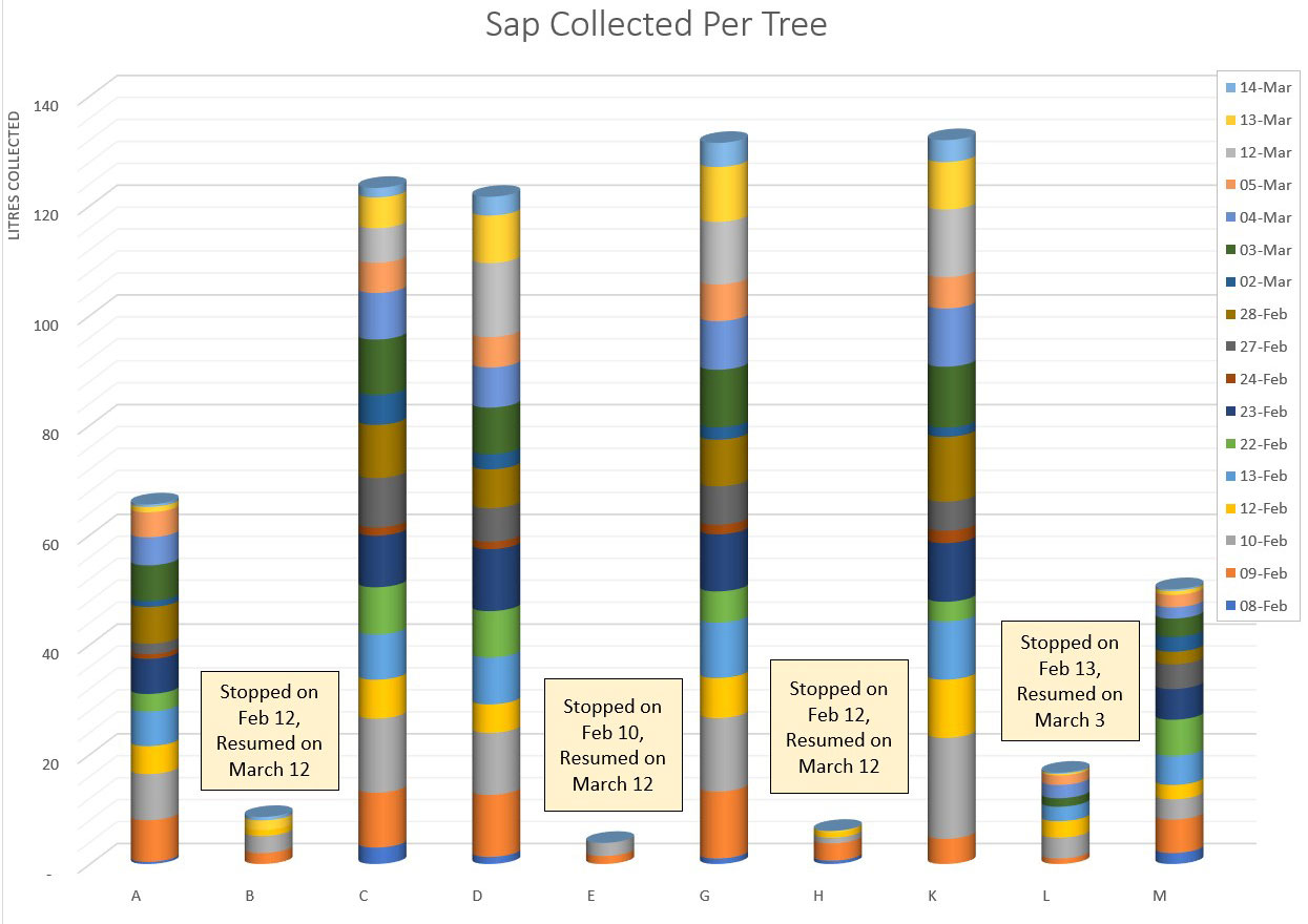 Collection per tree